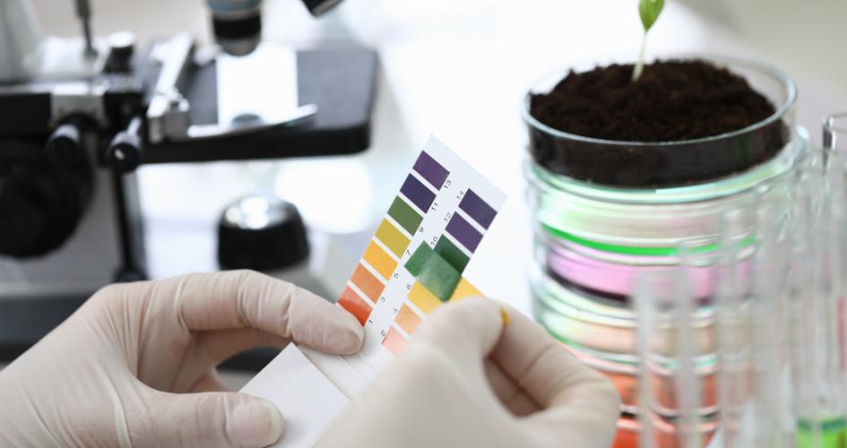 Gloved hands holding paper to measure soil acidity